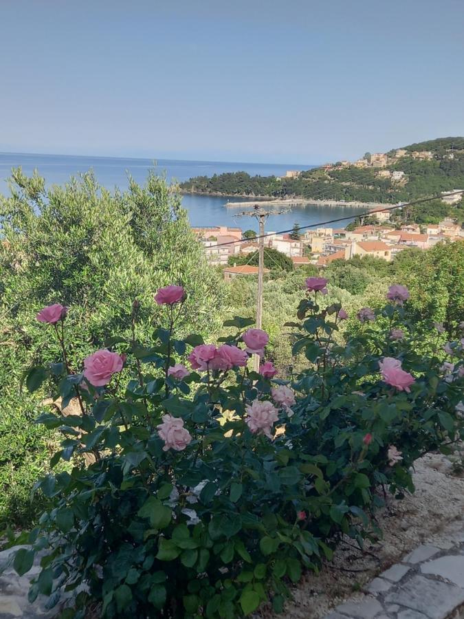 Naiad Poros (Kefalonia)